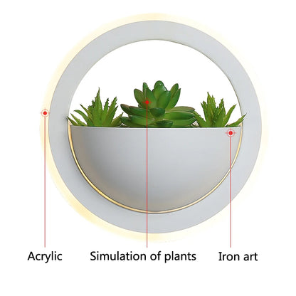 Elvista Cactus Light