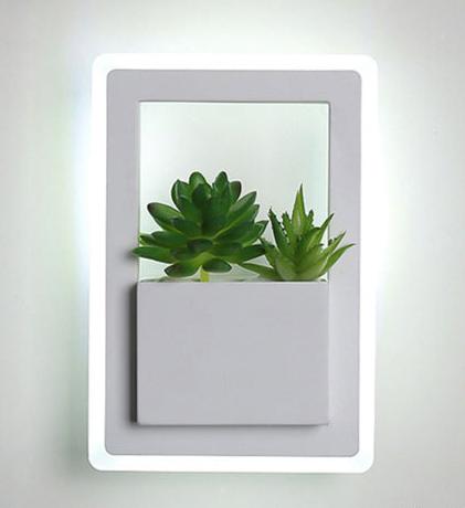 Elvista Cactus Light